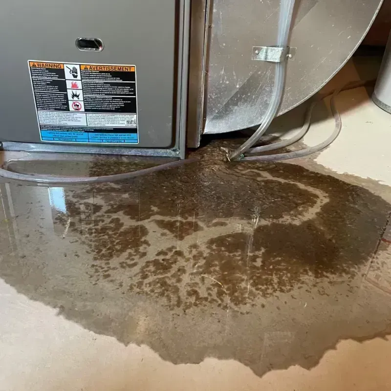 Appliance Leak Cleanup in Oswego, IL